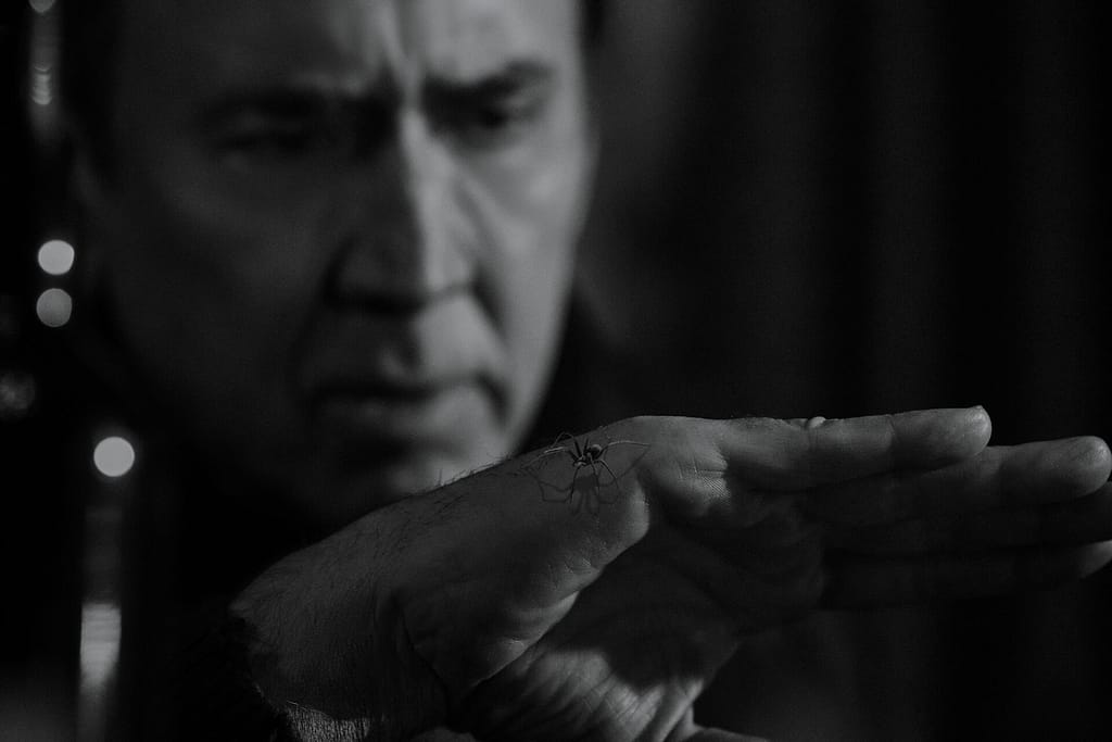 Spider-Noir review Cage.
